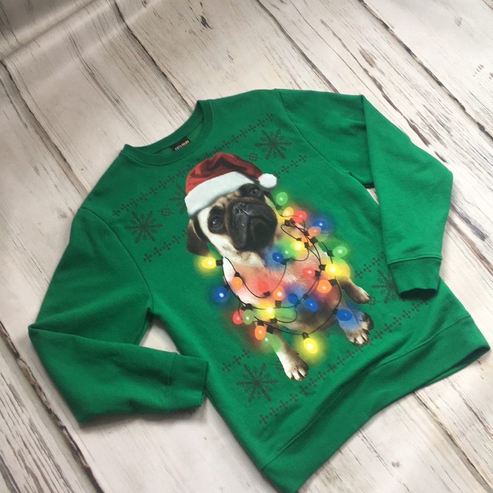 Pug Ugly Christmas Sweatshirt Medium Green Santa